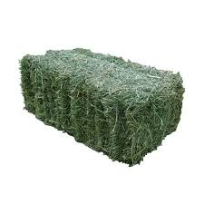 Alfalfa Hay Flake