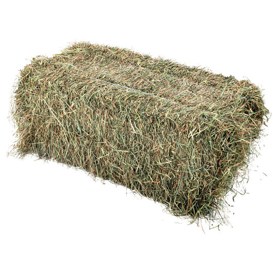 Bermuda Hay Flake