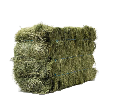 Teff Hay Flake