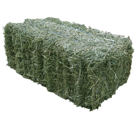 Timothy Hay Flake